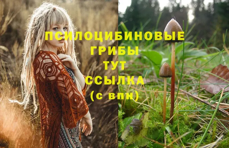 Галлюциногенные грибы Magic Shrooms  мега   Артёмовский 